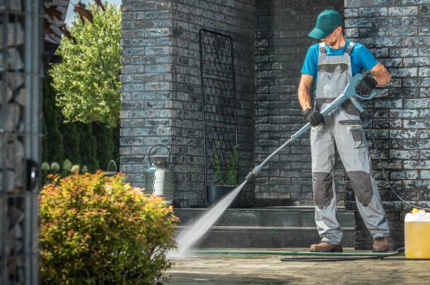 Best Soft Washing  in Limesa, CA