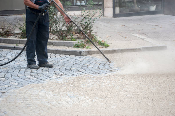 Best Dumpster Area Cleaning  in Limesa, CA